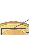 0602l53g-b12e-98x119.png