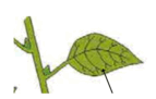 0602l5h1-8d8e-143x91.png