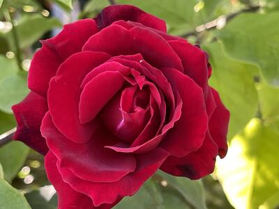 0602l5n4-6b54-940x705.jpg