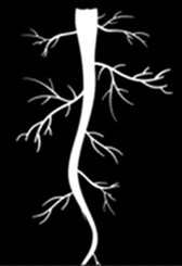 0602l5o5-0273-168x245.png