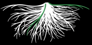 0602l5ph-12e6-296x145.png