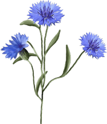 0602l5zf-3c27-221x256.png