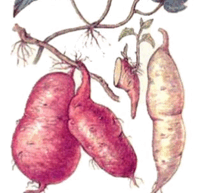 0602l60o-e5c9-211x193.png