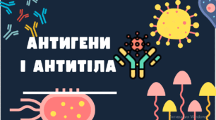 Антигени та антитіла Презентація, лекція, тести