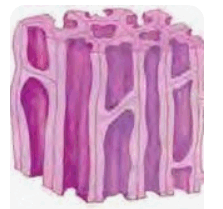 0602l6xk-eaca-223x209.png