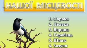 Демонстраційний матеріал "Птахи нашої місцевості"