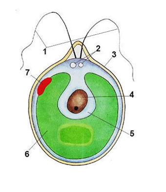 0602l9h3-7e26-340x392.png