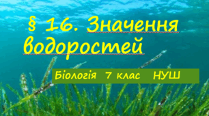 Презентація    «Значення водоростей      7 клас   НУШ