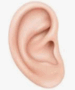 0602la05-11f3-75x90.png