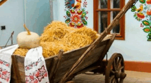 Від народу набираємося сили