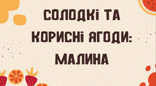 Солодкі та корисні ягоди. Малина