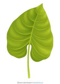 0602ld5u-6cc7-197x276.png