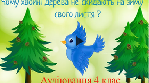 Аудіювання 4 клас ,,Чому хвойні дерева не скидають на зиму свого листя?"