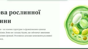 Презентація "Особливості будови рослинної клітини"
