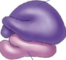 0602lfs3-9d2c-137x124.png