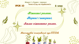 Розробка уроку STEM для 6 класу. Урок 10. Кімнатні рослини. Корисні й некорисні. Атлас кімнатних рослин (Модуль 2. «Людина – природа». Тема «Сад на підвіконні»).