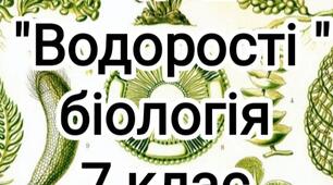 Підсумкова контрольна робота №2 ( ГР1, ГР2) " Різноманітність евкаріотичних організмів. Водорості"