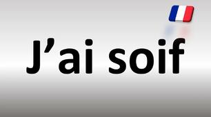 Les sensations + pronoms relatifs