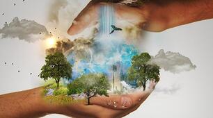 La nature et l'environnement