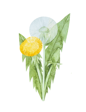 0602lkm7-0759-330x430.png