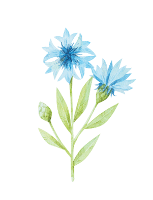 0602lkm9-bcbe-330x430.png
