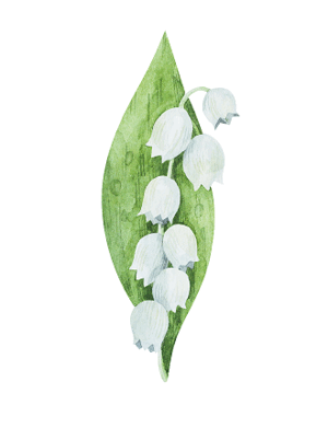 0602lkmd-c963-330x430.png