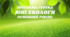 Програма гуртка "ЮНІ ЕКОЛОГИ" Основний рівень (1 рік навчання) 2 години на тиждень