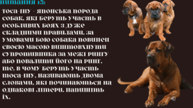 0602llhh-2355-271x152.png