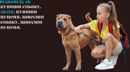 0602llht-bc47-264x146.png