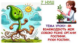 Презентація з біології для учнів 7 класу НУШ. Тема уроку: Як взаємодіють між собою різні органи рослини.  Рухи рослин.