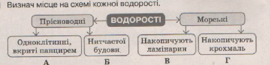 0602lo3d-86fa-873x213.png