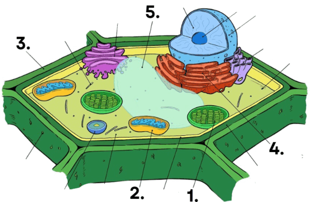 0602lo9f-a8e8-612x396.png
