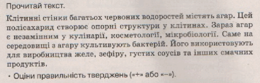 0602lod6-a920-867x279.png