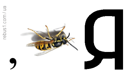0602lpbn-c0c7-428x260.png