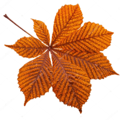 0602lq61-b334-249x249.png