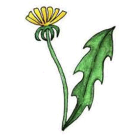 0602lq67-dbaa-243x280.png