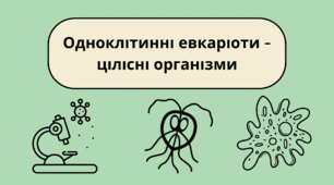 Одноклітинні евкаріоти - цілісні організми