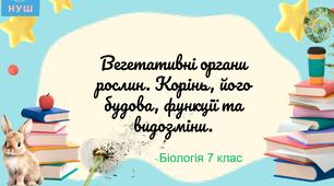Презентація НУШ "Вегетативні органи рослин. Корінь, його будова, функції та видозміни".