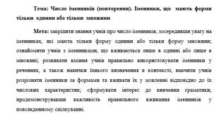 План-конспект "Число іменників (повторення). Іменники, що  мають форми тільки  однини або тільки  множини"