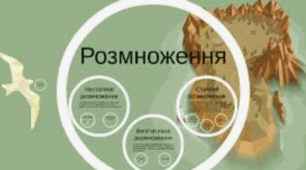 Інфографіка з теми "Розмноження організмів" (Пізнаємо природу)