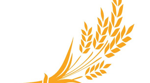 Конспект комплексного заняття (ознайомлення із соціумом, розвиток мовлення) на тему: «Кафе «Золоті колоски» » (старший дошкільній вік)