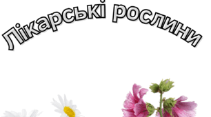 Лікарські рослини