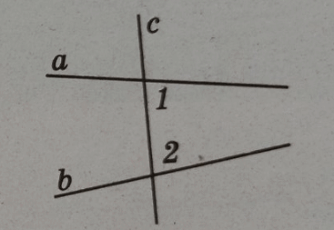 0602m2tl-3591-367x253.png