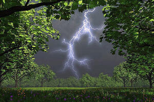 0602m304-4ee7-300x200.jpg