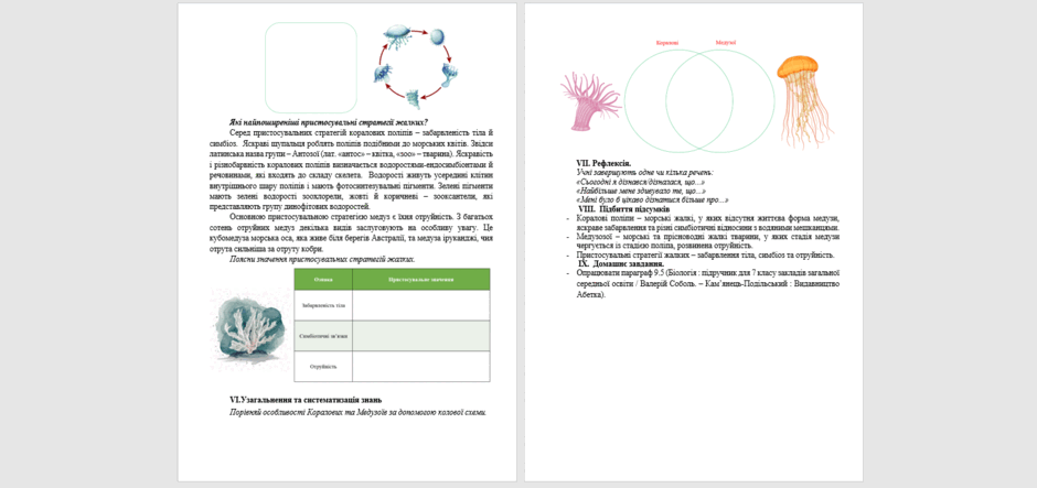 0602m34m-c124-940x443.png
