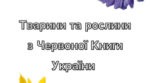 Тварини та рослини занесені до Червоної Книги України
