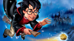 Past Simple Irregular verbs. Harry Potter