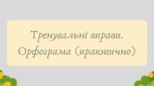 План-конспект та презентація "Тренувальні вправи. Орфограма (практично)"