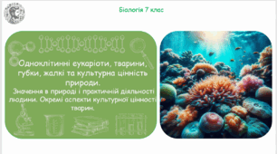 Урок на тему "Одноклітинні еукаріоти, тварини, губки, жалкі та культурна цінність природи. Значення в природі і практичній діяльності людини. Окремі аспекти культурної цінності тварин" (Конспект, презентація, робочі аркуші)