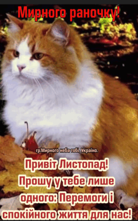 0602m9w8-97bb-278x444.png